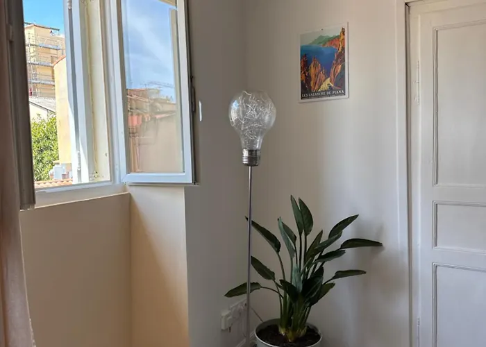 T2 Cosy Hyper Centre Ajaccio (Corsica)