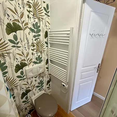 Apartment T2 Cosy Hyper Centre Ajaccio (Corsica)